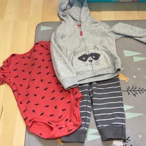 3 piece raccoon outfit - Carter’s